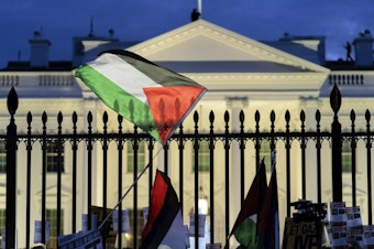 caption: Anti-war activists protest outside of the White House during a pro-Palestinian demonstration asking for a cease-fire in Gaza in Washington on Nov. 4.