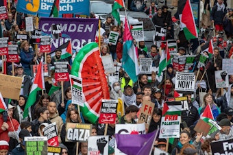 caption: Tens of thousands of pro-Palestinian activists take part in a National March to call for a permanent ceasefire in Gaza on December 9, 2023, in London, United Kingdom.