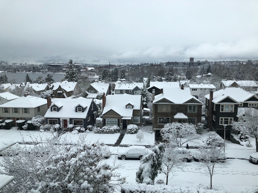 caption: Seattle's Laurelhurst neighborhood under snow on Saturday, Feb. 9, 2019.