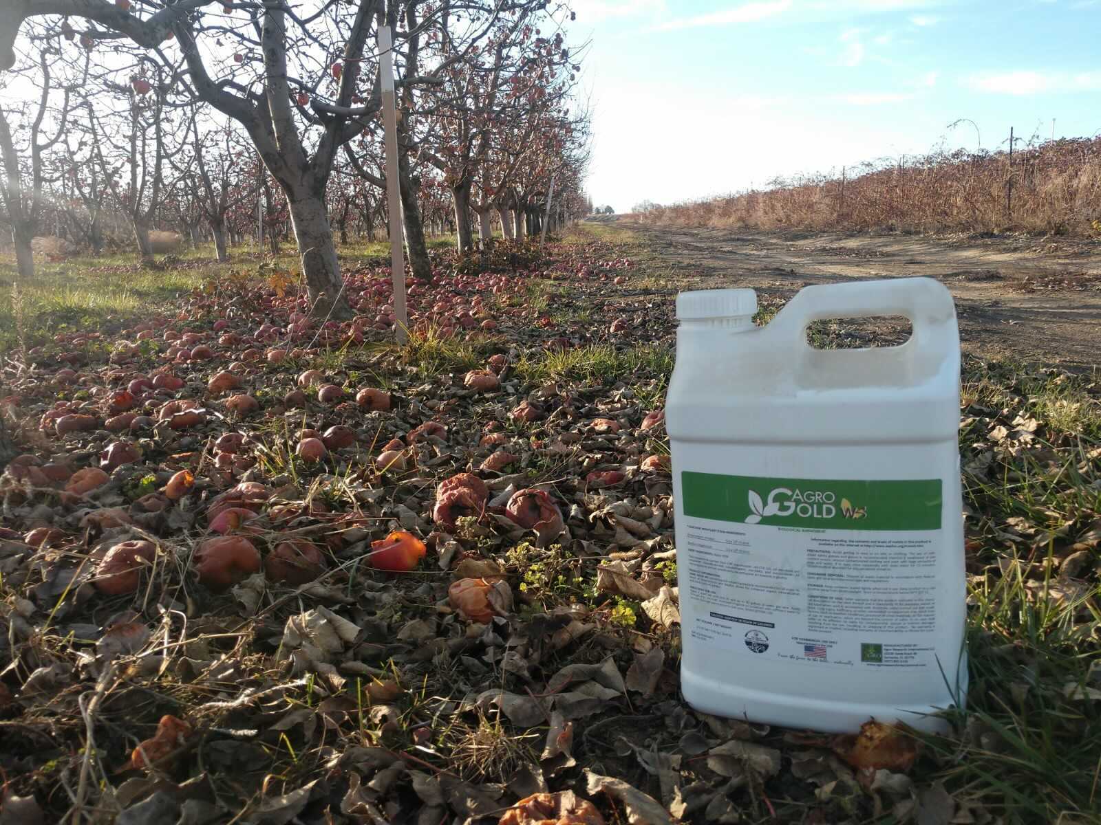 caption: Washington, Oregon and California regulators have issued a "stop use" order for the agricultural product known as "Agro Gold WS."