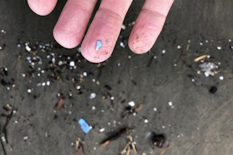 caption: Plastic debris is washed up at Depoe Bay, Ore., on Jan. 19, 2020.