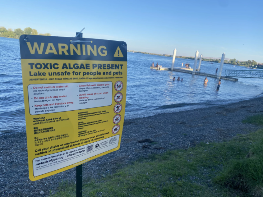 caption: Children play recently at Howard Amon Park in Richland, near a sign warning of toxic algae.
