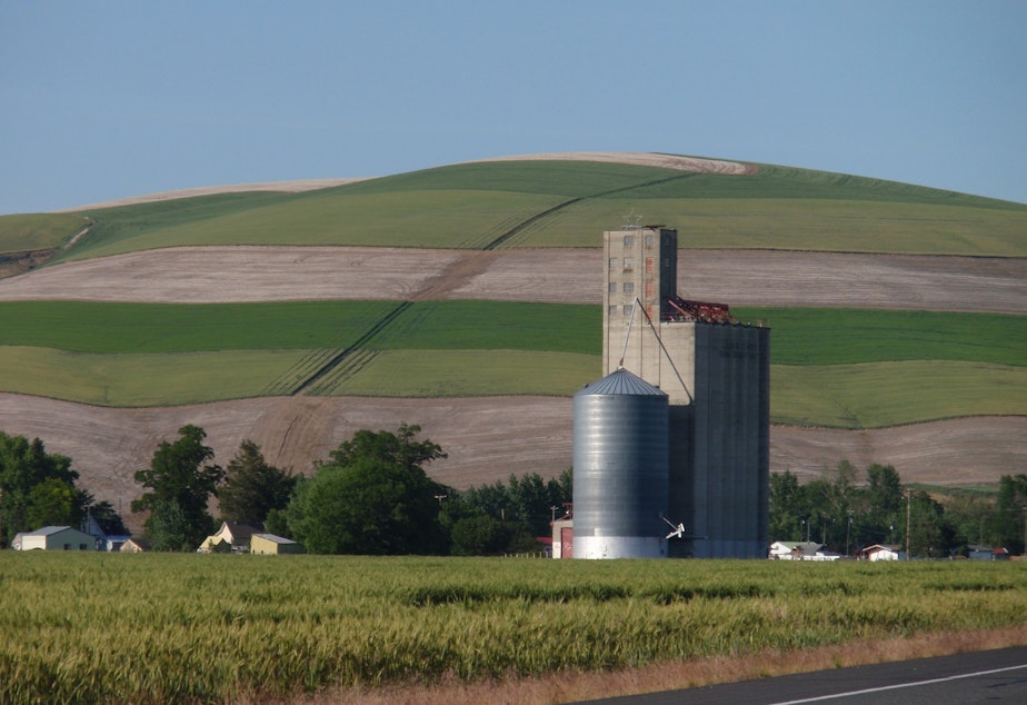 caption: Thinly populated, rural counties in Washington -- such as Columbia County, seen here -- are in the vanguard of the state reopening process, but the final stage appears to be delayed.