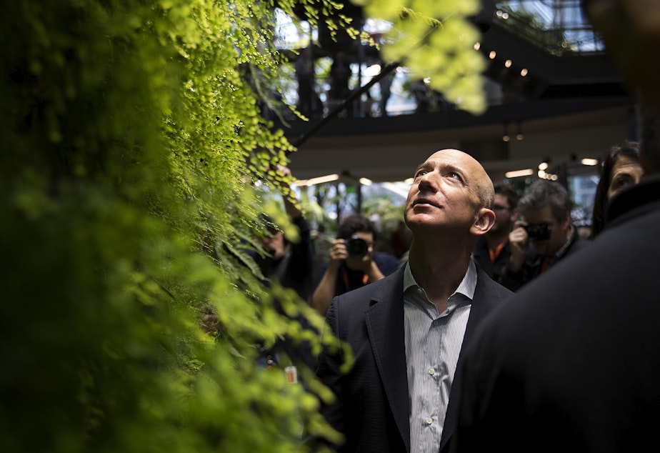 caption: Jeff Bezos looks up at a living wall during the grand opening of Amazon's spheres in Seattle in January .