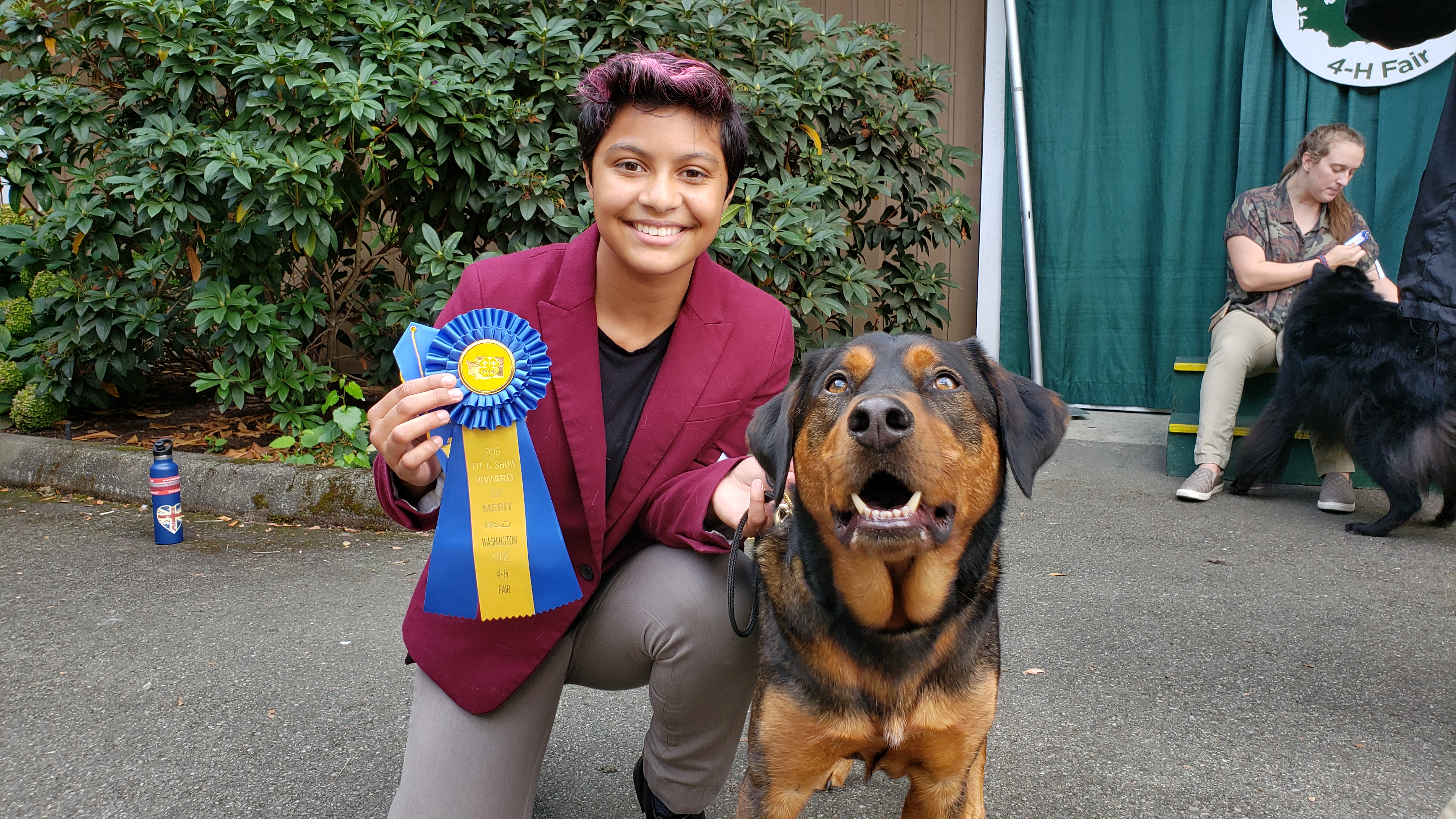 what is award of merit at a dog show