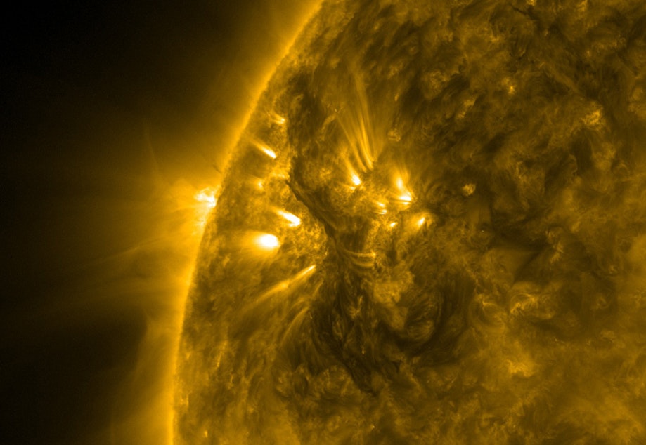 caption: A close-up of a filament on the sun's surface. 