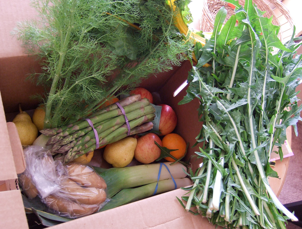 caption: Community supported agriculture is a great program - but exercise caution when gifting it to a loved one!