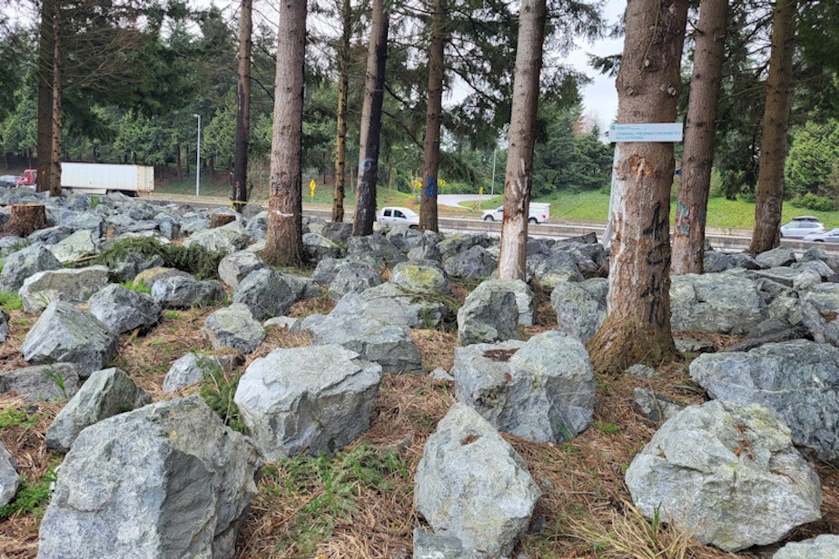 caption: Washington officials placed large boulders to prevent people from returning to an area of a former homeless encampment along Interstate 5 near Olympia.