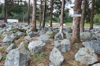 caption: Washington officials placed large boulders to prevent people from returning to an area of a former homeless encampment along Interstate 5 near Olympia. 