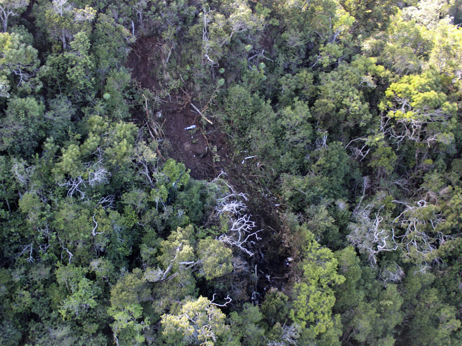 caption: An undated photo shows the scene where a tour helicopter crashed near the Na Pali Coast on the island of Kauai in Hawaii, in 2019.