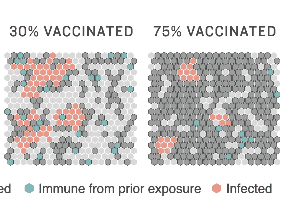 KUOW - How Herd Immunity Works — And What Stands In Its Way