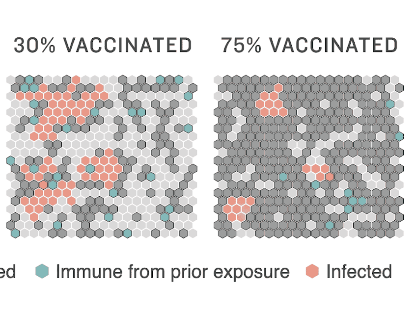 Model of how vaccination rates effect infection rates.
