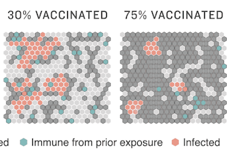 Model of how vaccination rates effect infection rates.