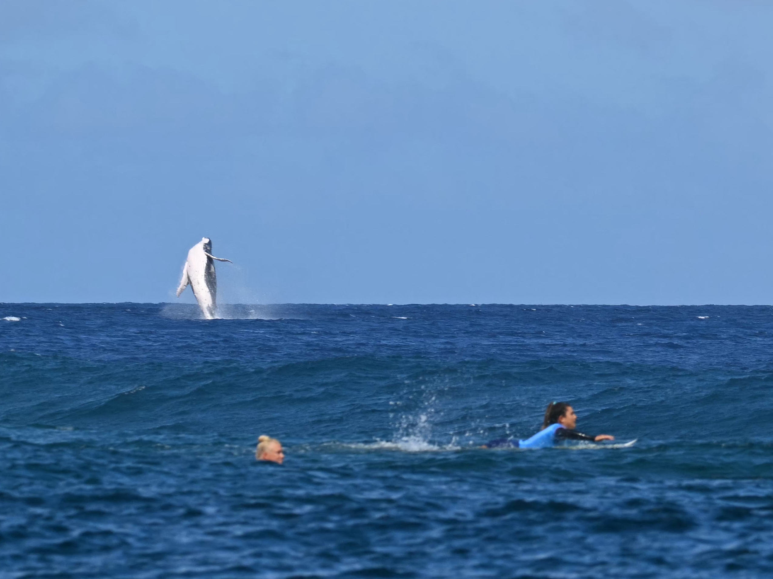 caption: A whale breaches as Brazil's Tatiana Weston-Webb (left) and Costa Rica's Brisa Hennessy compete in the women's surfing semi-finals on Monday.