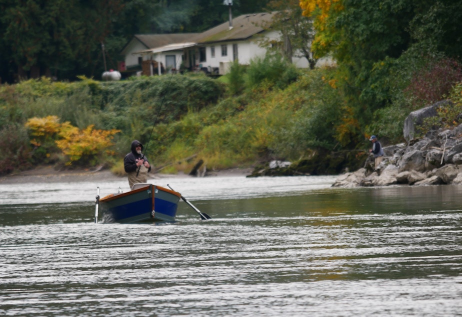 caption: Salmon fishing on the Nooksack River in September 2021