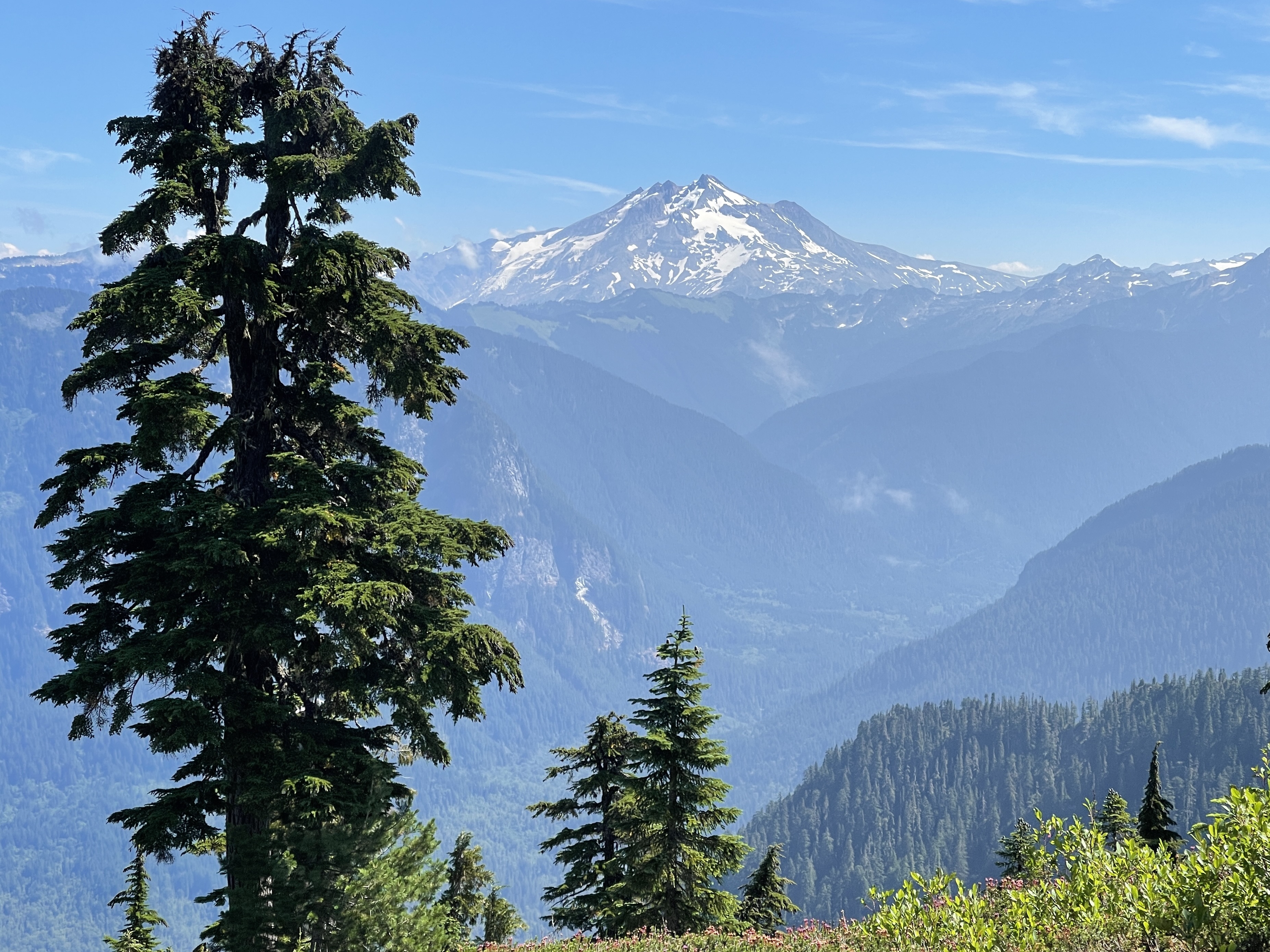 caption: Glacier Peak and the North Fork Sauk Valley, viewed from Mount Forgotten Meadows on Aug. 21, 2022.