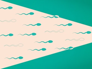Lowering sperm count illustration.