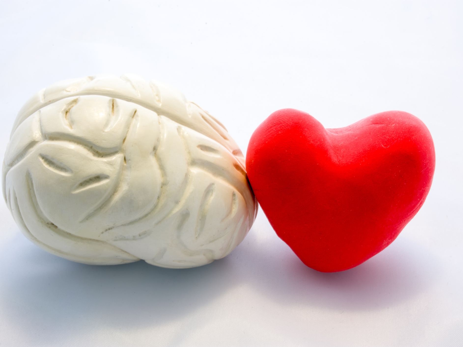 Red card heart shape and figure of human brain standing next to next to each other on white background. Connection heart and brain in couple or choice for who to follow, or their interaction in body