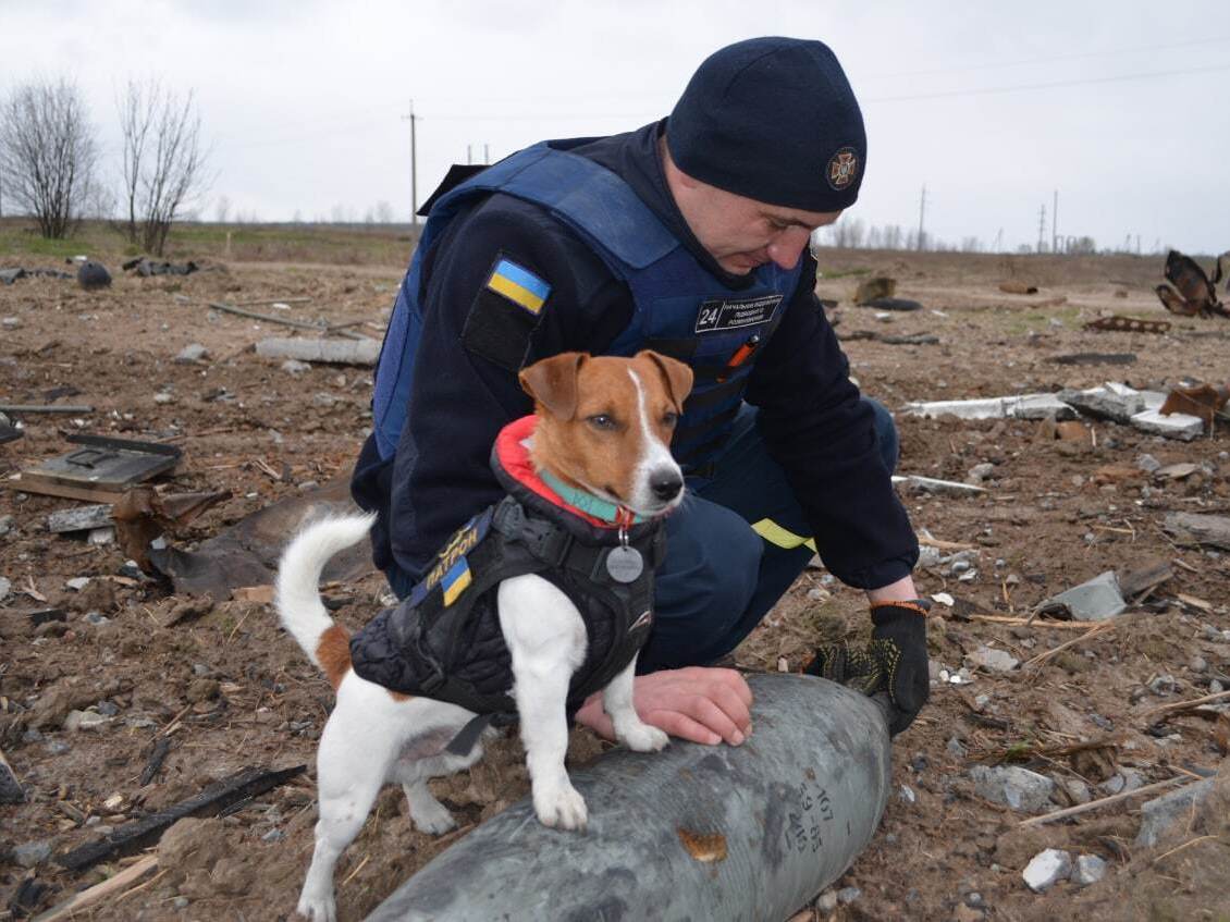 caption: A Ukrainian pyrotechnic squad works alongside Patron, a bomb-sniffing dog.