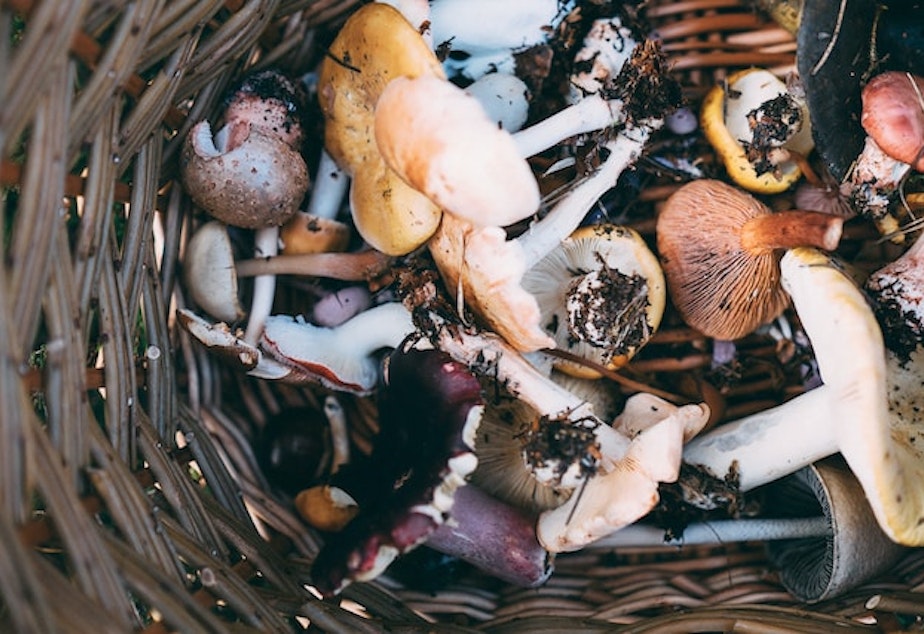 Mushrooms generic