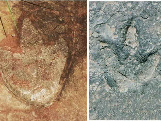caption: Researchers analyzed theropod footprints in Brazil, left, and in Cameroon, right.