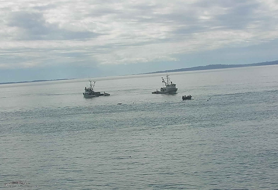 caption: The Intruder and the Marathon, two purse-seine boats, rescue the crew of the Aleutian Isle amid flotsam on July 13 off San Juan Island.