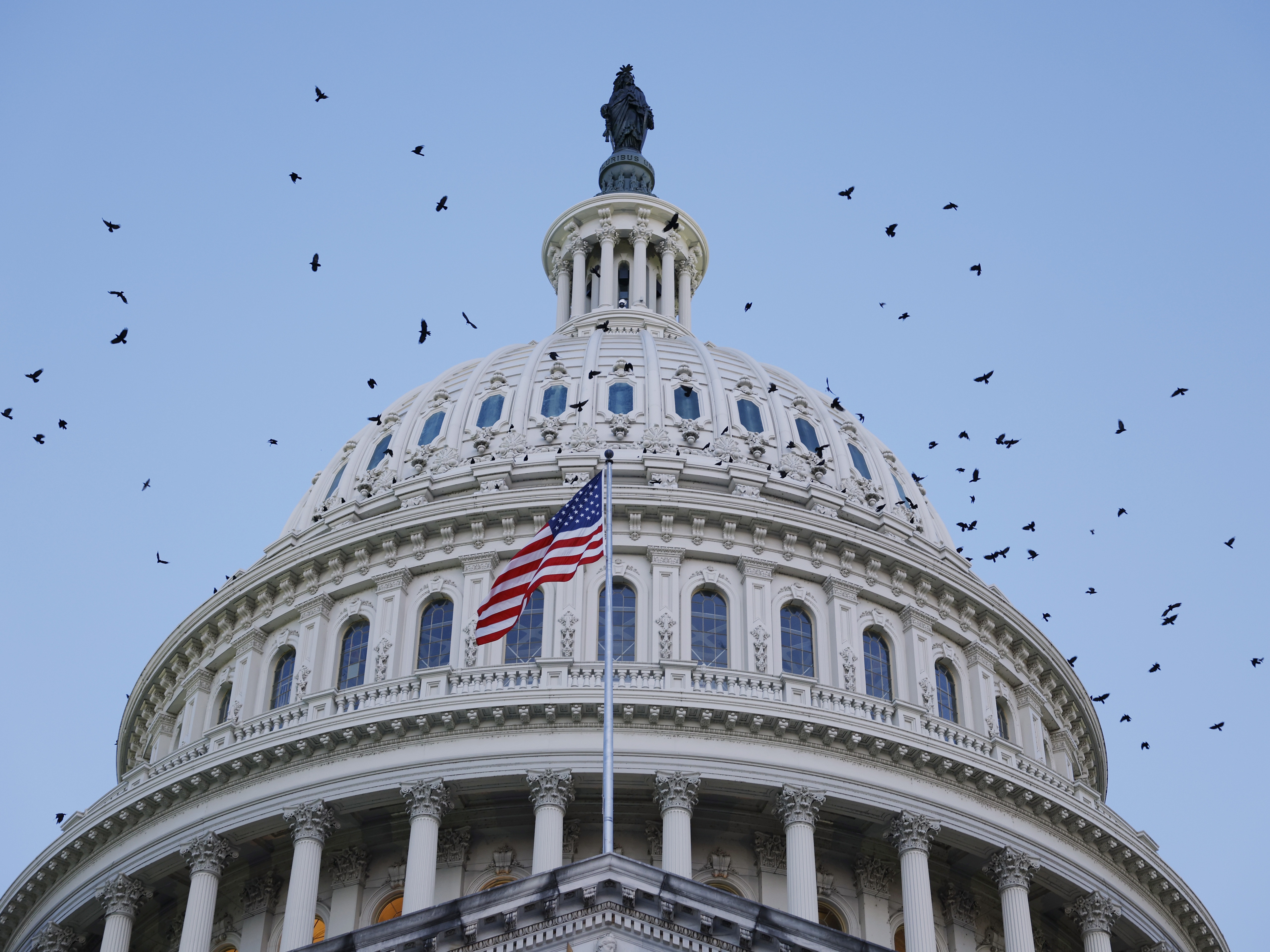 caption: Birds fly around the U.S. Capitol Dome at sunrise in September 2024 in Washington, D.C.
