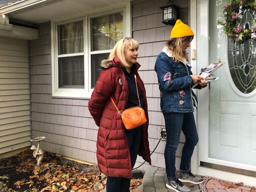 caption: Kathleen VanPoppelen and her daughter Brooke knock doors for Elissa Slotkin, a Democrat running for Congress in Michigan. Kathleen has never voted for a Democrat before, but she'll vote for Slotkin on Election Day.