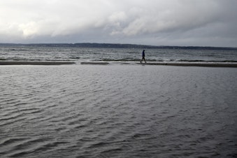 caption: A person walks a long the beach, partially covered in water, on Tuesday, December 27, 2022, at Golden Gardens in Seattle. 