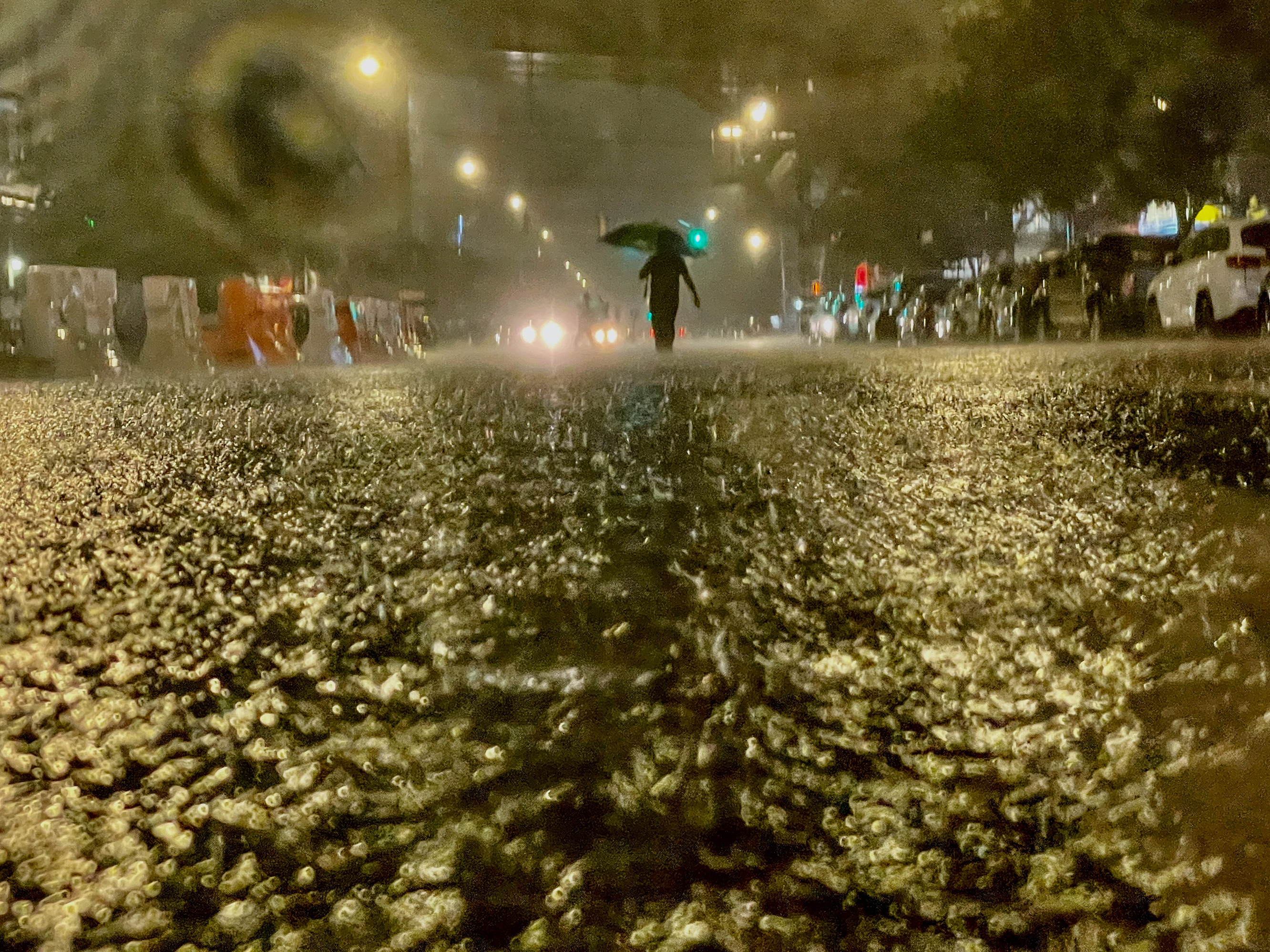 caption: After an unprecedented year in natural disasters, cities like Hoboken and New York City, pictured here after Hurricane Ida,  say better weather forecast can save lives.
