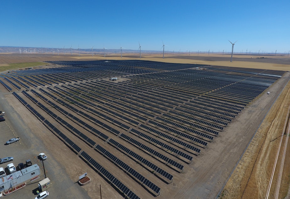 File photo of a solar farm