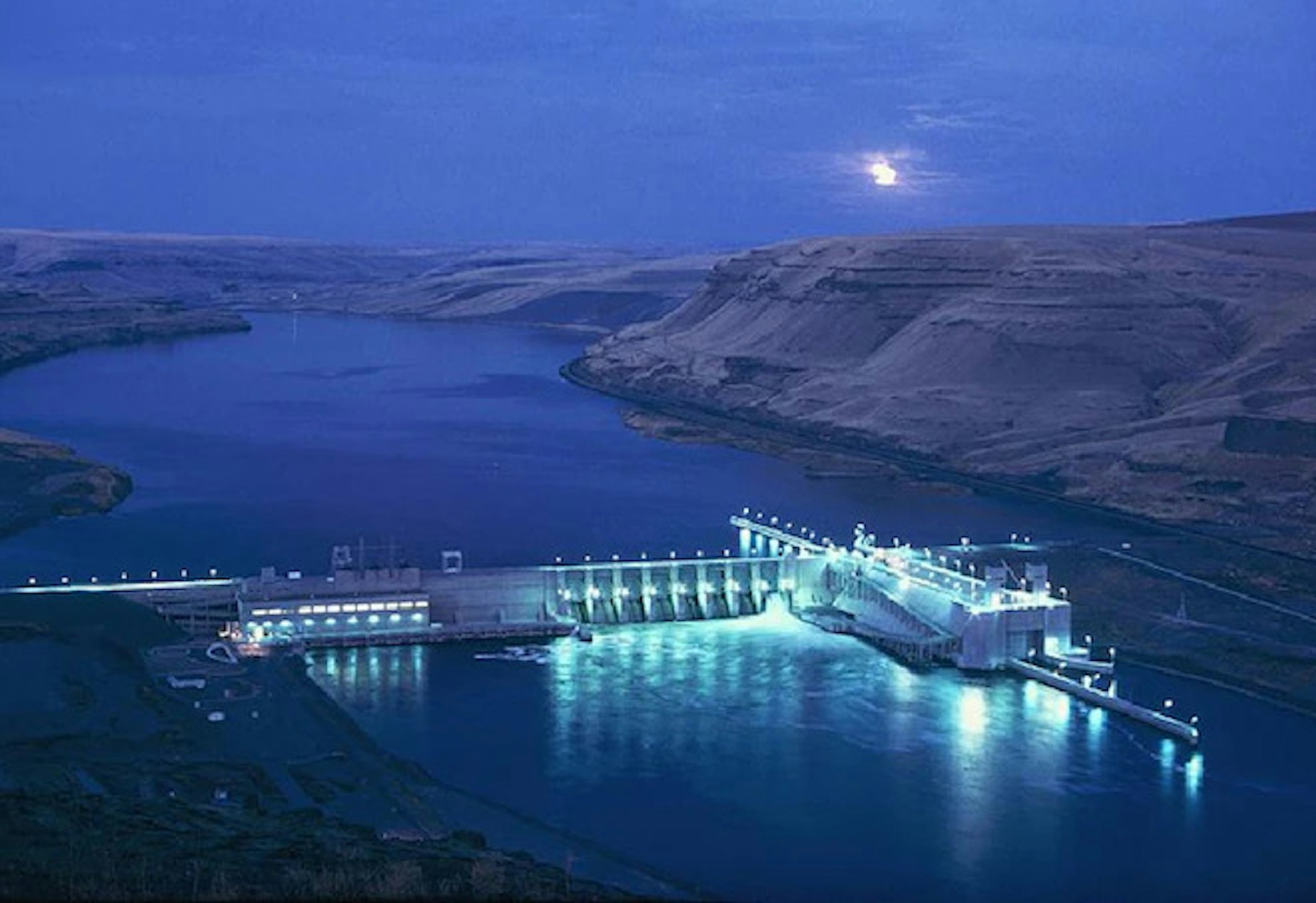 KUOW - Time is running out for salmon as the Snake River dam removal ...