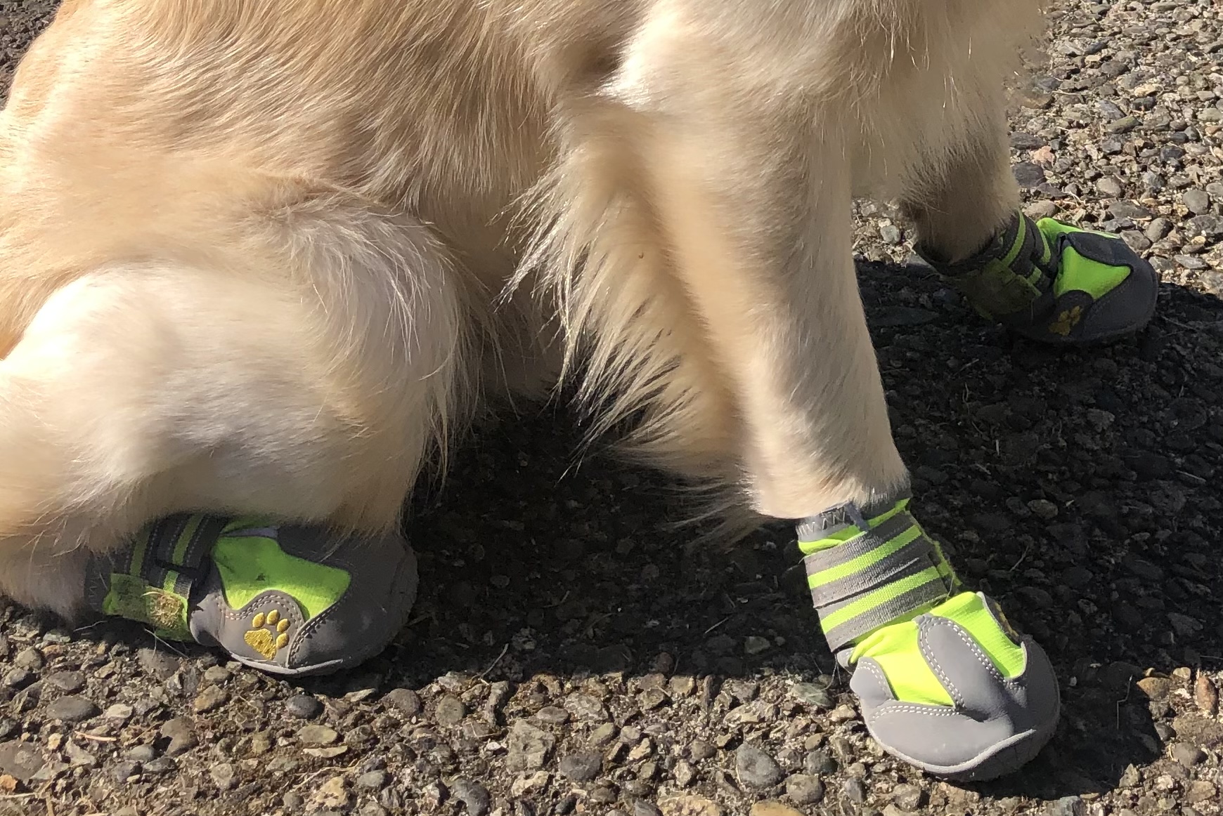 caption: Arlo’s heat-protection booties