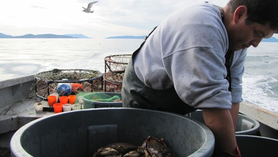 caption: Tribal treaty fishing rights give Washington tribes the opportunity to weigh in on, and even block, projects that could impact their fishing grounds.