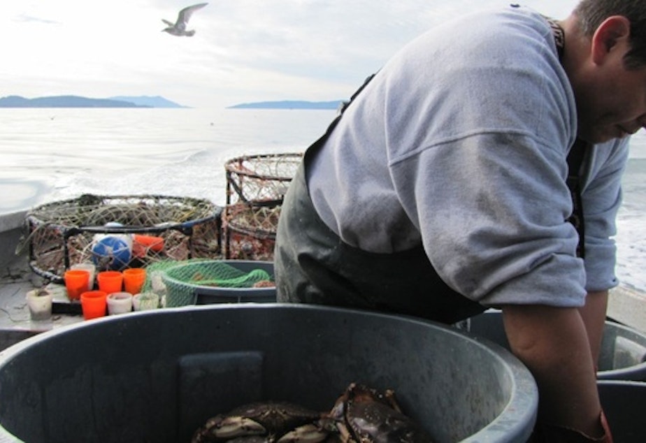 caption: Tribal treaty fishing rights give Washington tribes the opportunity to weigh in on, and even block, projects that could impact their fishing grounds.