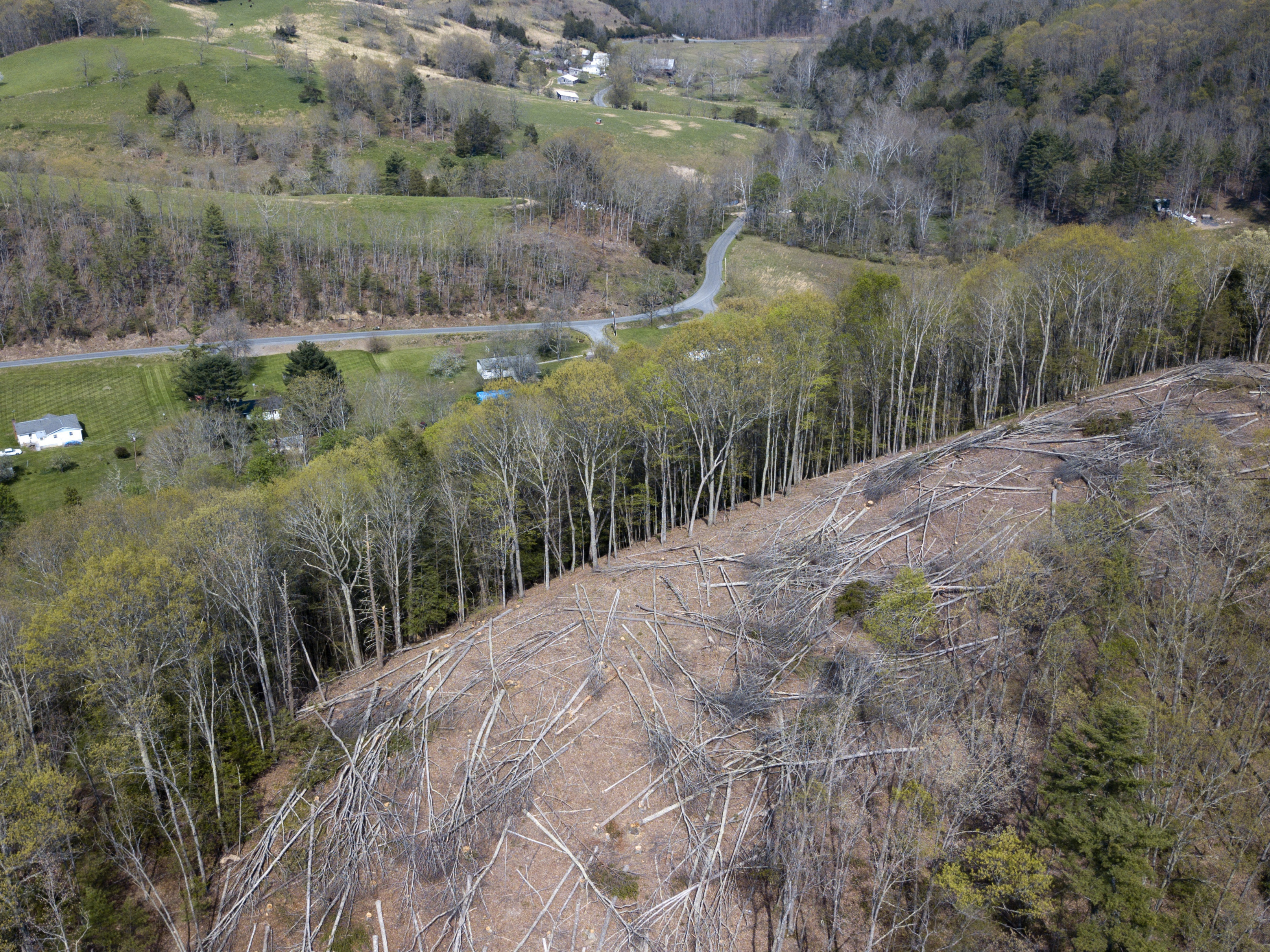 caption: The Mountain Valley Pipeline would stretch 303 miles, from West Virginia to North Carolina. This 2018 file photo shows a section of downed trees on a ridge near homes along the pipeline's route in Lindside, W.Va.
