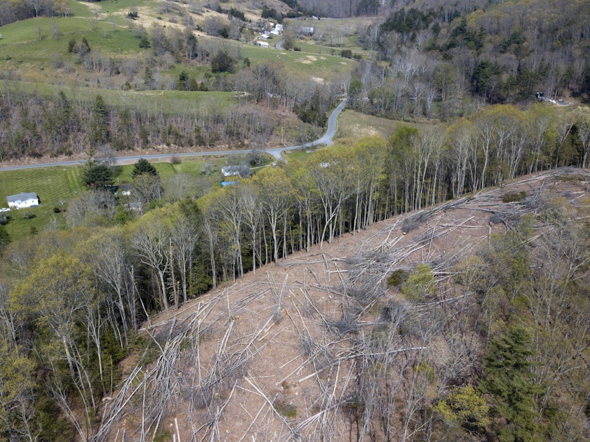 caption: The Mountain Valley Pipeline would stretch 303 miles, from West Virginia to North Carolina. This 2018 file photo shows a section of downed trees on a ridge near homes along the pipeline's route in Lindside, W.Va.