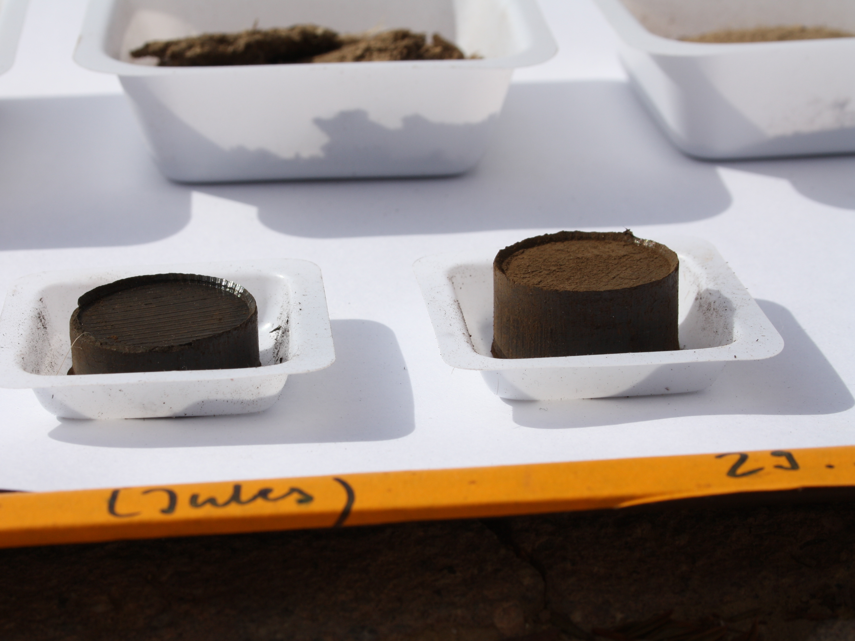 caption: Hydrochar derived from poultry waste was produced in a lab at Ben-Gurion University in Israel. The hydrochar can be made into briquettes, which can be used as charcoal for cooking food.