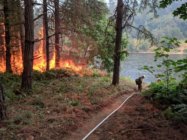 caption: <p>Fire burns next to control line by the Rogue River. A system of hoses and pumps provides water along the hand line. Additionally, notice how vegetation adjacen to the line has been thinned so that fire will stay on the ground.</p>