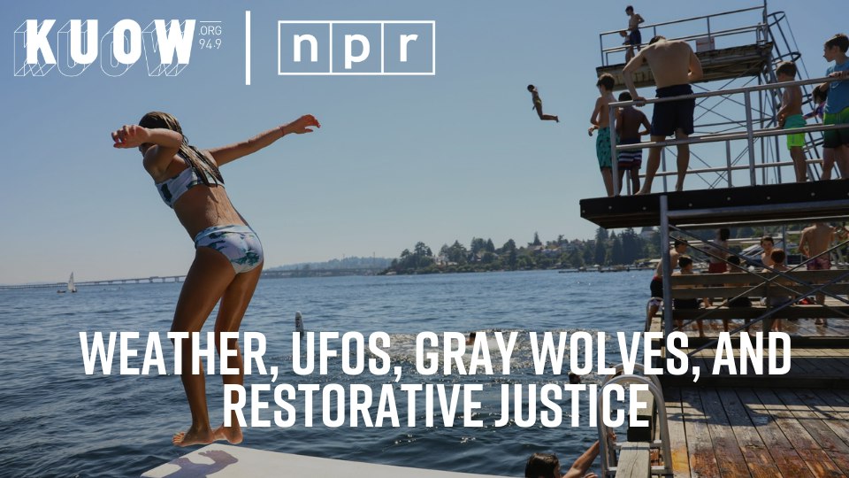 KUOW - UFOs, gray wolves, and restorative justice, this week - Vimarsana News