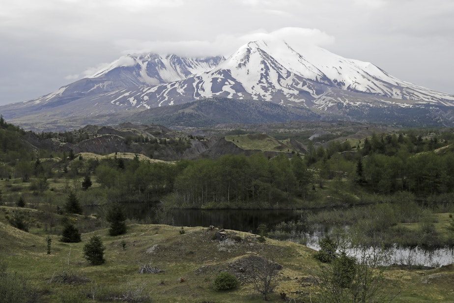caption: Mount St. Helens is seen from the Hummocks Trail, on May 18, 2020, in Washington state.