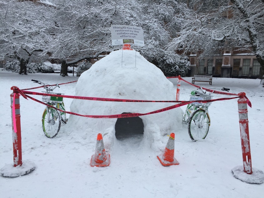 caption: An igloo on the University of Washington campus on Saturday, Feb. 9, 2019.