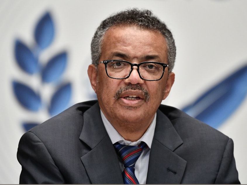 caption: World Health Organization Director-General Tedros Adhanom Ghebreyesus says that while some COVID-19 vaccine candidates have progressed to phase three testing, the world must remain reliant on "the basics" of disease control. Tedros is seen here last month in Geneva.