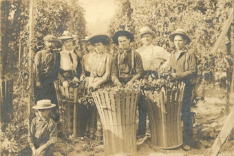 caption: Hops pickers at Titus Farm, on the site of modern-day Kent (formerly known as Titusville). Titus farm and Titusville were named after the same prominent family of settlers. Everett E. Titus in white shirt.