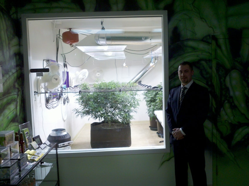 caption: Sean Green's medical marijuana collective features a window into the light-filled grow room.