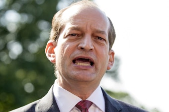 caption: Alex Acosta said Friday he is stepping down as labor secretary so his handling of a 2008 prosecution of Jeffrey Epstein won't distract from the U.S. economy's "amazing" performance.