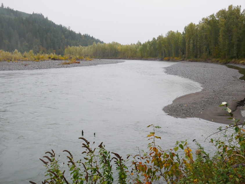 caption: The Nooksack River by Deming, Washington