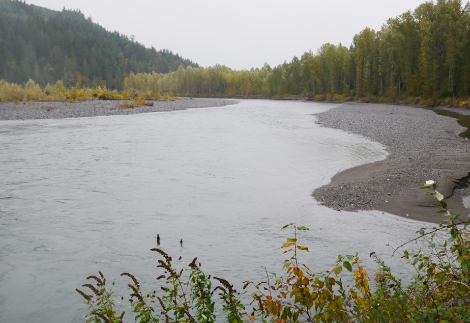 caption: The Nooksack River by Deming, Washington