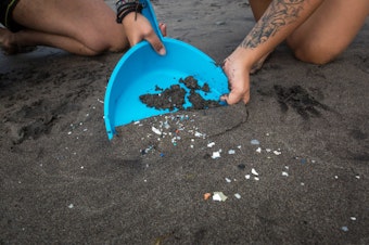 caption: Microplastics are not just showing up on beaches like this one in the Canary Islands. They are showing up in human waste.