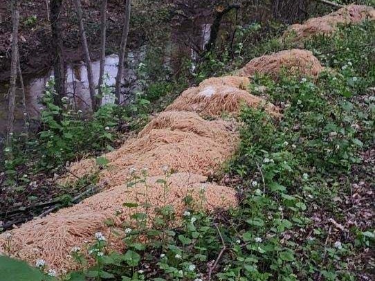 caption: Hundreds of pounds of pasta were found along the Iresick Brook in Old Bridge, N.J., setting off questions about where the noodles came from — and why they were dumped.